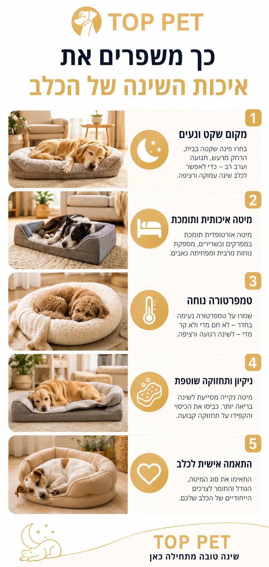 איך בוחרים מיטה לכלב? המדריך המלא להתאמה מושלמת לנוחות, בריאות ושינה איכותית