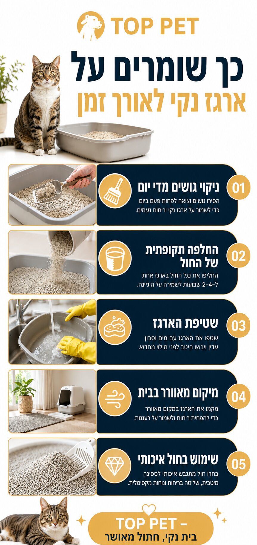 המדריך המלא לבחירת חול מתגבש לחתולים לבית נקי וללא ריחות