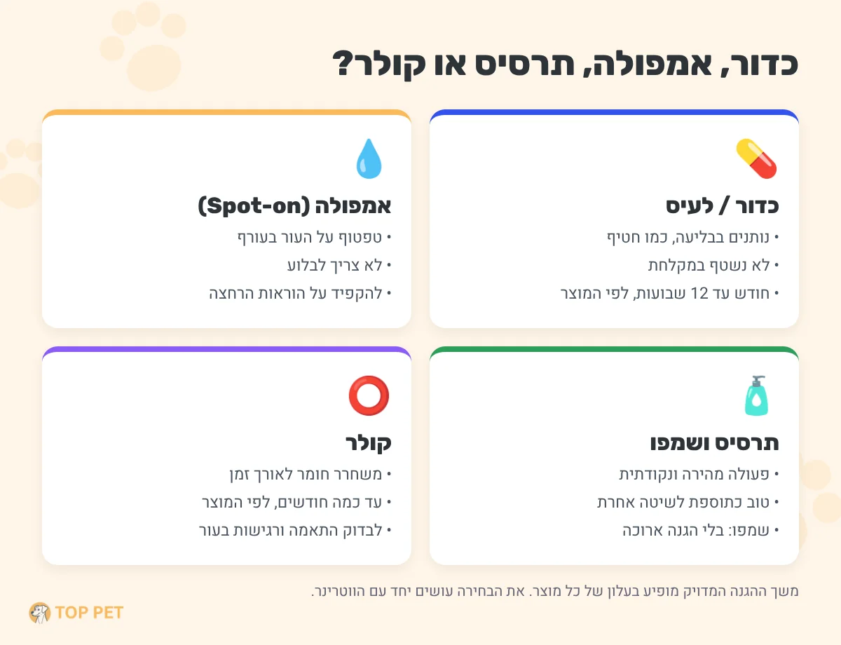 השוואת טיפולים נגד פרעושים לכלבים - כדור, אמפולה, תרסיס וקולר