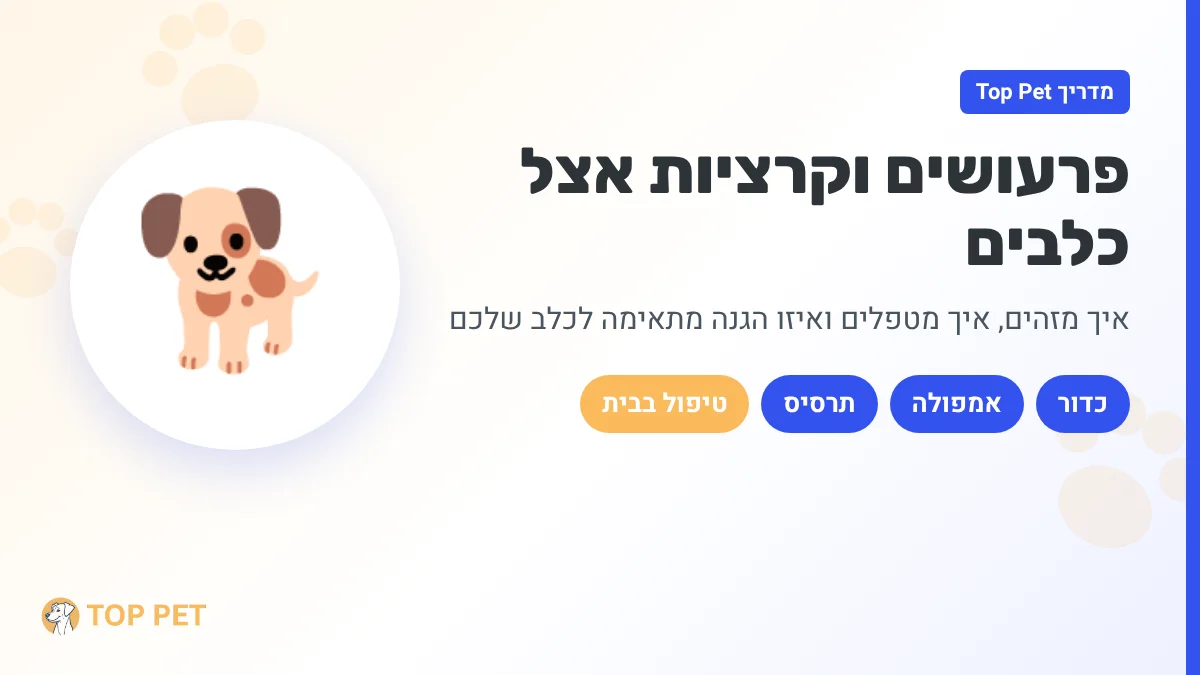 פרעושים וקרציות אצל כלבים - מדריך זיהוי, טיפול והגנה