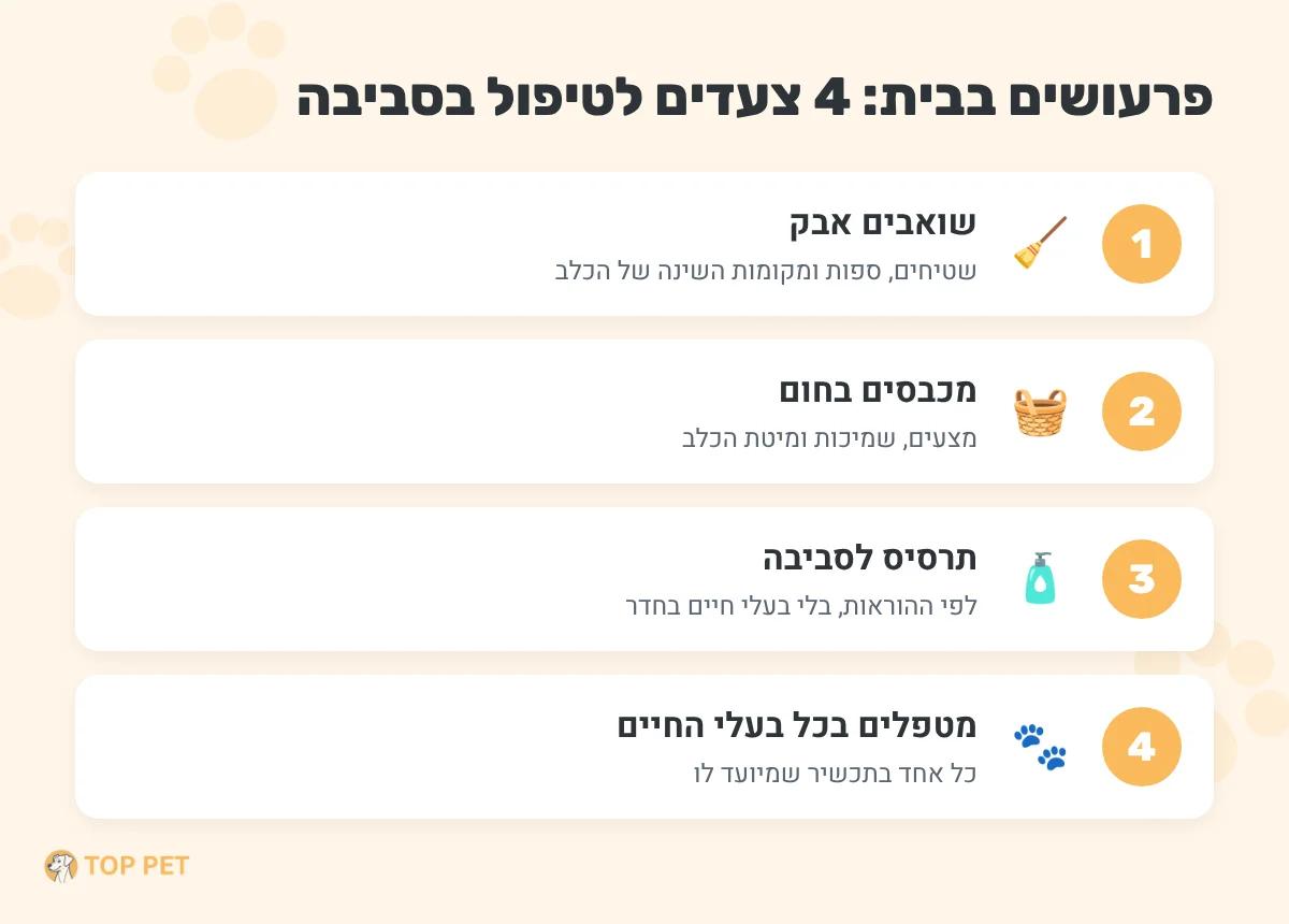 איך מטפלים בפרעושים בבית - ארבעה צעדים