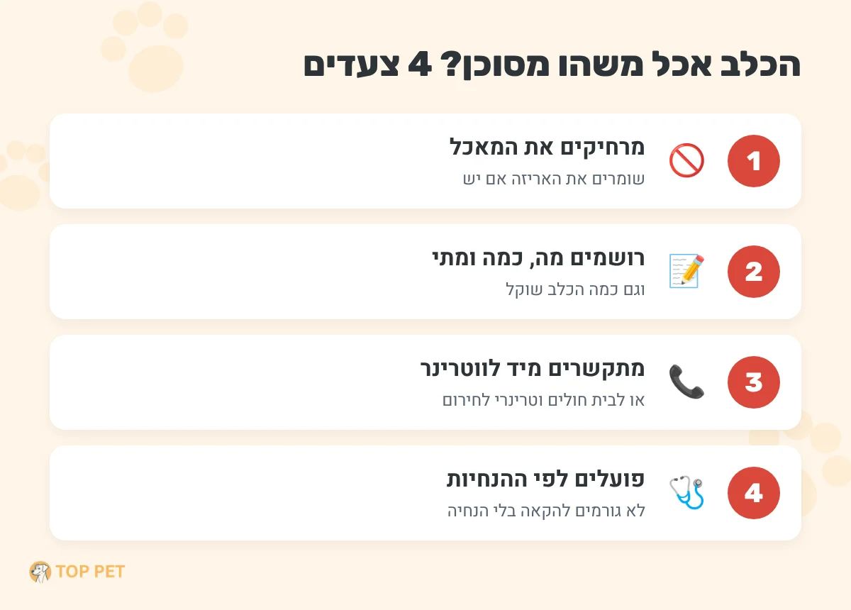 מה עושים אם הכלב אכל משהו אסור - ארבעה שלבים