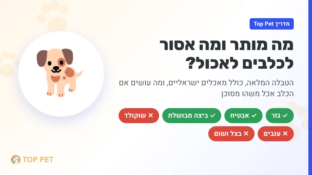 מה מותר ומה אסור לכלבים לאכול - מדריך Top Pet