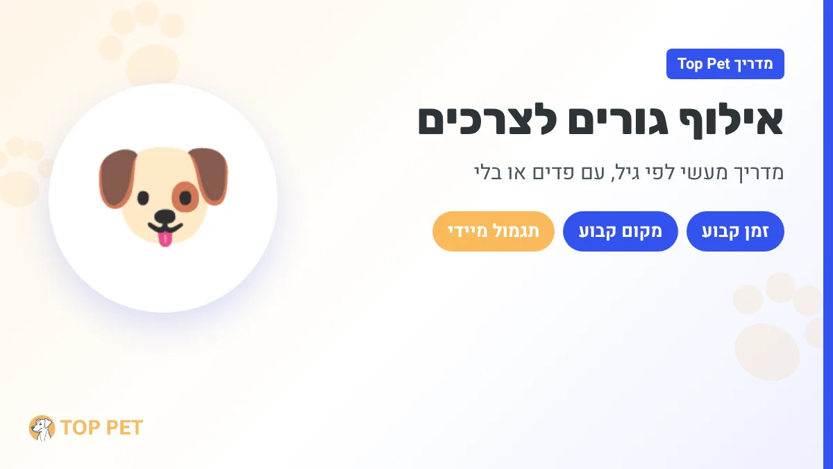 אילוף גורים לצרכים - מדריך מעשי לפי גיל