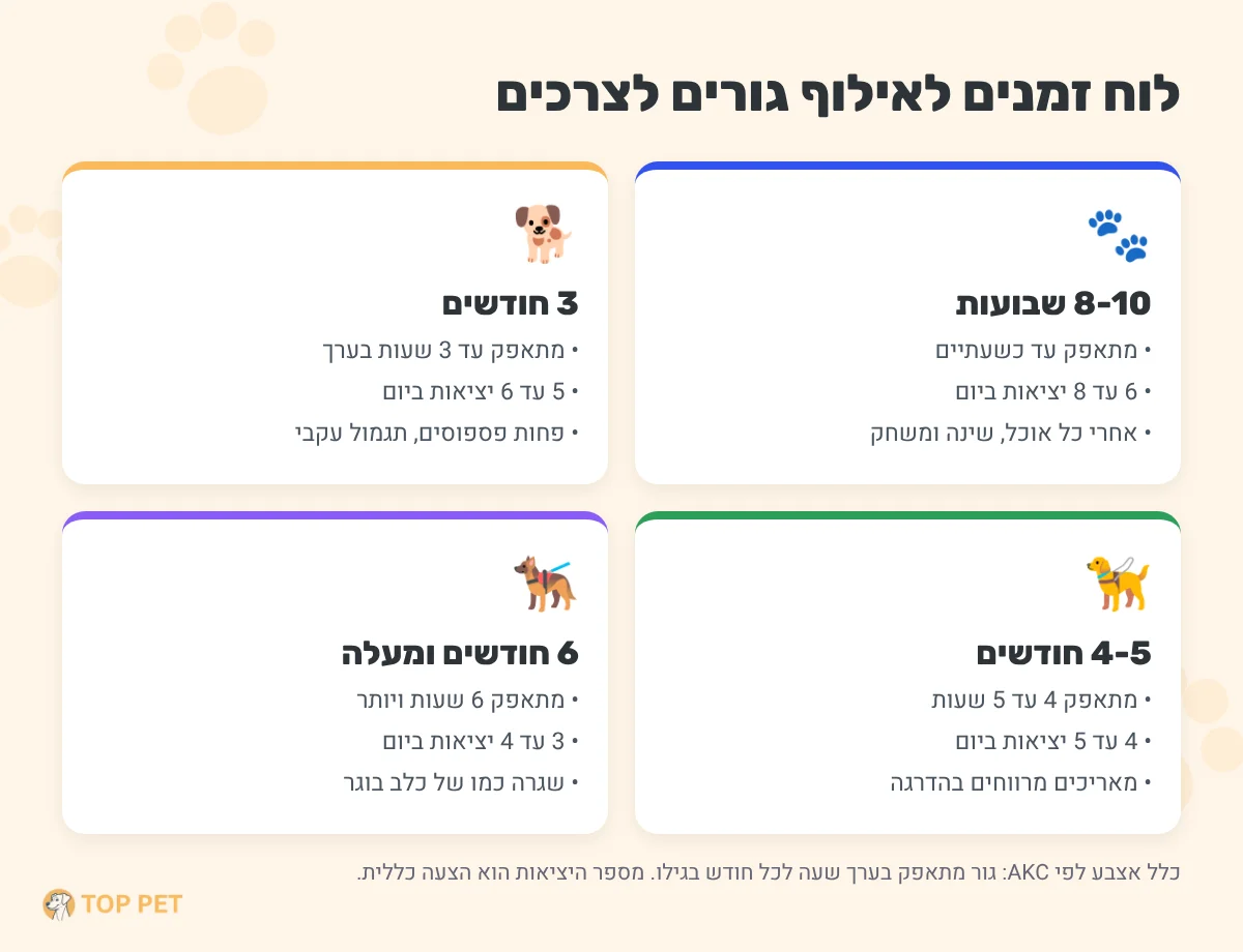 אילוף גורים לצרכים: מדריך מעשי לפי גיל, עם פדים או בלי