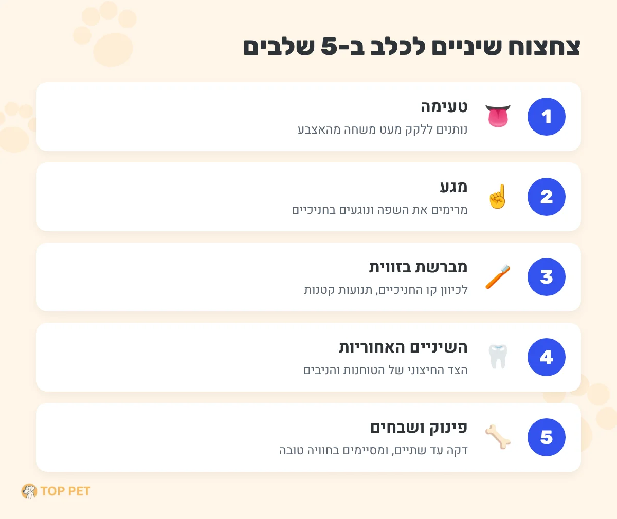 איך מצחצחים שיניים לכלב - חמישה שלבים