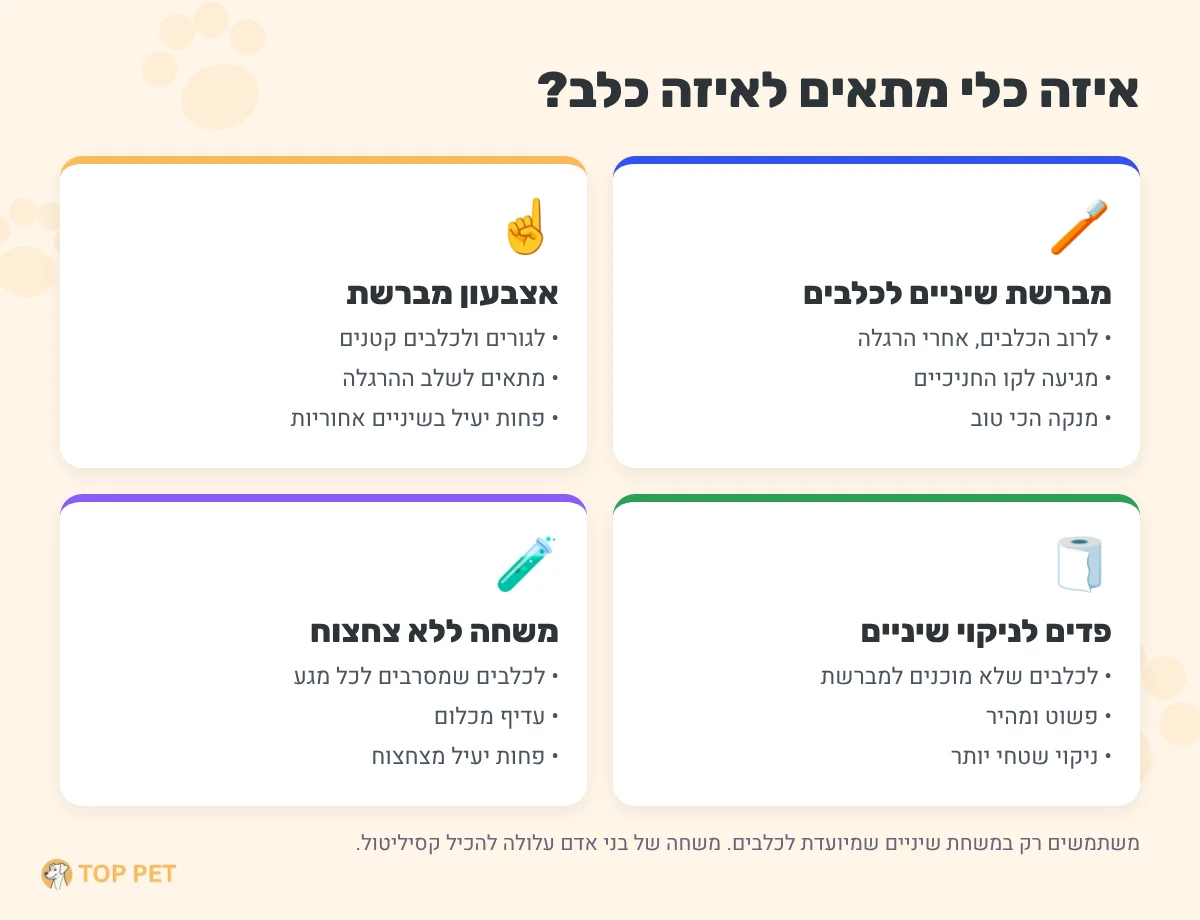 צחצוח שיניים לכלב: איך עושים את זה נכון, כל כמה זמן ובמה להשתמש